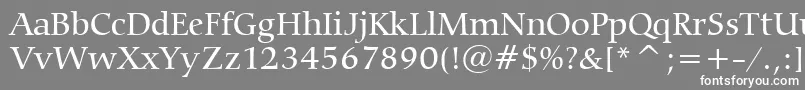 CarminaMediumBt-Schriftart – Weiße Schriften auf grauem Hintergrund