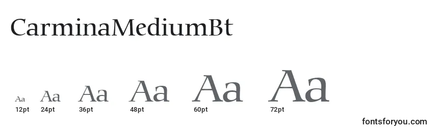 CarminaMediumBt Font Sizes