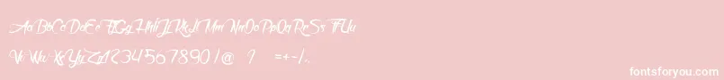 DeathInTheShadow Font – White Fonts on Pink Background