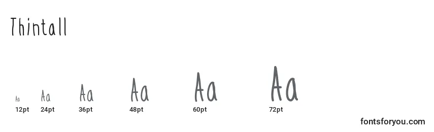 Thintall Font Sizes
