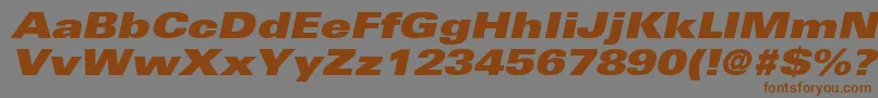fuente NovaBlackExpandedSsiBlackExpandedItalic – Fuentes Marrones Sobre Fondo Gris