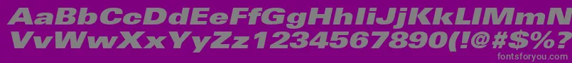 NovaBlackExpandedSsiBlackExpandedItalic Font – Gray Fonts on Purple Background