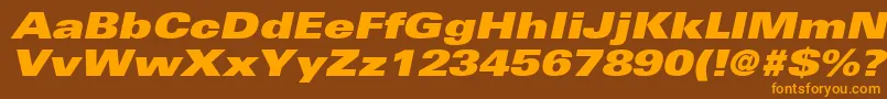 NovaBlackExpandedSsiBlackExpandedItalic Font – Orange Fonts on Brown Background