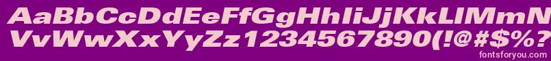 NovaBlackExpandedSsiBlackExpandedItalic Font – Pink Fonts on Purple Background