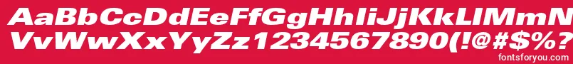 NovaBlackExpandedSsiBlackExpandedItalic Font – White Fonts on Red Background