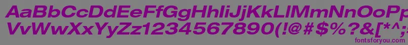 HelveticaneueltstdBdexo Font – Purple Fonts on Gray Background