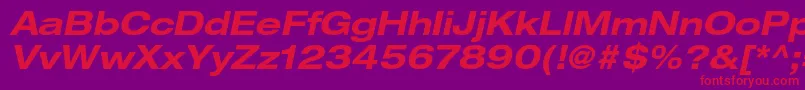 HelveticaneueltstdBdexo Font – Red Fonts on Purple Background