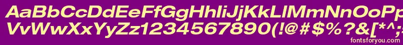 HelveticaneueltstdBdexo Font – Yellow Fonts on Purple Background