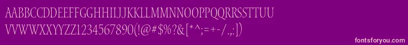 WaterstitlingproLtcn Font – Pink Fonts on Purple Background