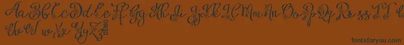 AlyfeDemo-Schriftart – Schwarze Schriften auf braunem Hintergrund