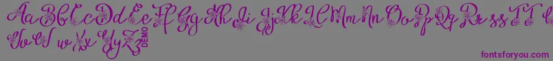 AlyfeDemo-Schriftart – Violette Schriften auf grauem Hintergrund