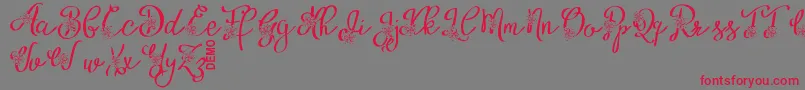 AlyfeDemo Font – Red Fonts on Gray Background