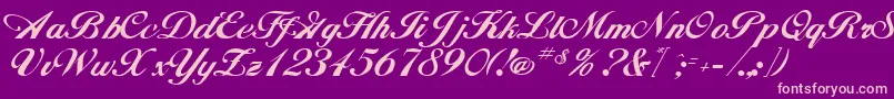 HancockRegular Font – Pink Fonts on Purple Background