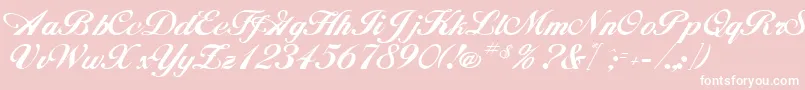 HancockRegular Font – White Fonts on Pink Background