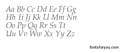 Обзор шрифта VanielItalic