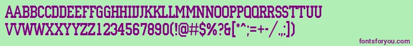 ACampusnr Font – Purple Fonts on Green Background
