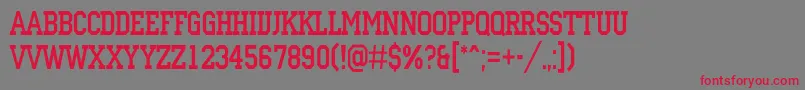 ACampusnr Font – Red Fonts on Gray Background