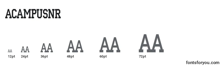 Размеры шрифта ACampusnr