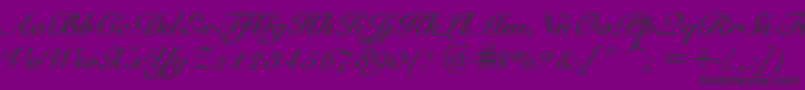 SnellBoldBt-Schriftart – Schwarze Schriften auf violettem Hintergrund