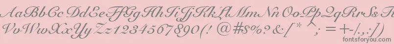 SnellBoldBt-Schriftart – Graue Schriften auf rosa Hintergrund