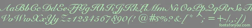 SnellBoldBt Font – Green Fonts on Gray Background