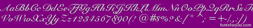 SnellBoldBt Font – Green Fonts on Purple Background