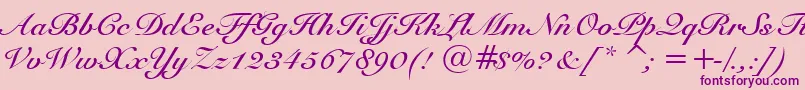 SnellBoldBt Font – Purple Fonts on Pink Background