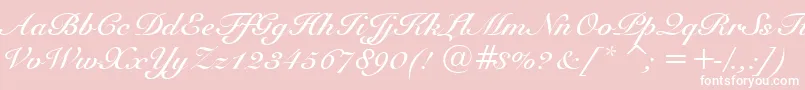 SnellBoldBt Font – White Fonts on Pink Background