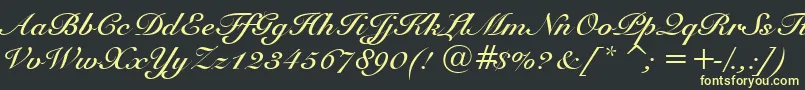 SnellBoldBt Font – Yellow Fonts on Black Background