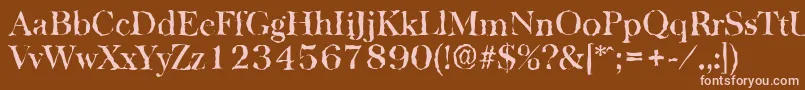BaskervillerandomMediumRegular Font – Pink Fonts on Brown Background