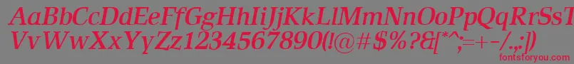 RustikaBolditalic Font – Red Fonts on Gray Background