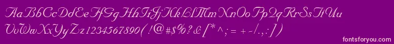 NuptialScript Font – Pink Fonts on Purple Background