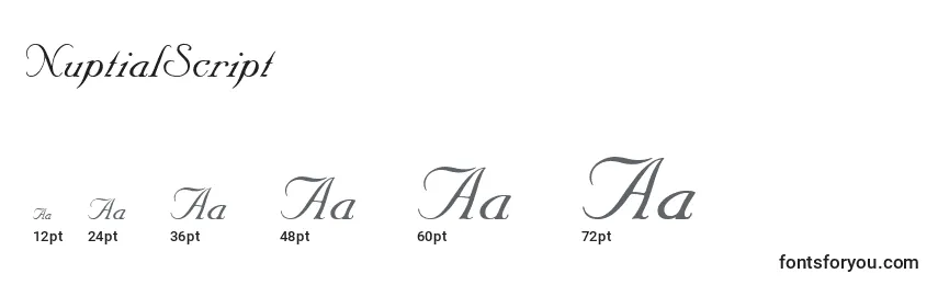 NuptialScript Font Sizes