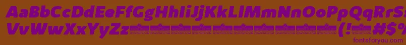 KabrioAlternateHeavyItalicTrial Font – Purple Fonts on Brown Background