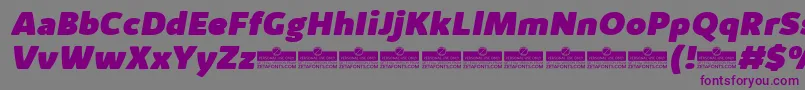 KabrioAlternateHeavyItalicTrial Font – Purple Fonts on Gray Background