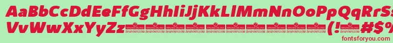 KabrioAlternateHeavyItalicTrial Font – Red Fonts on Green Background