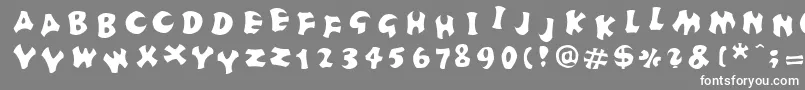 FrutigerstonesPositiv-Schriftart – Weiße Schriften auf grauem Hintergrund