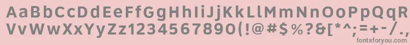 Roadgeek2005Series5b Font – Gray Fonts on Pink Background