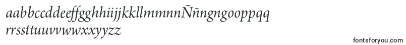 ArnoproItalic18pt Font – Filipino Fonts
