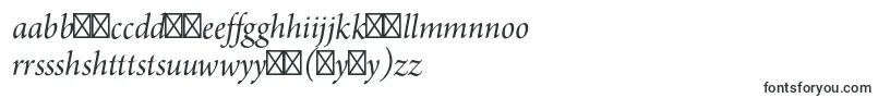 フォントArnoproItalic18pt – ハウスフォント