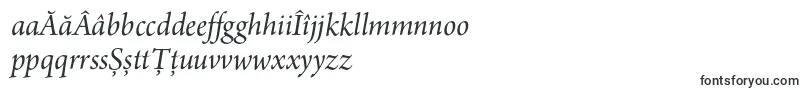 ArnoproItalic18pt Font – Romanian Fonts