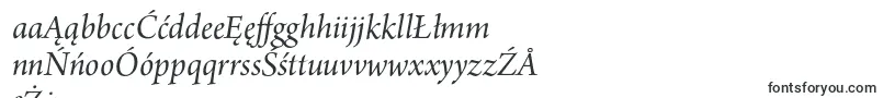 ArnoproItalic18pt Font – Polish Fonts