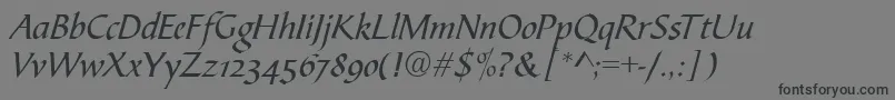 CalligraphscriptRegular Font – Black Fonts on Gray Background