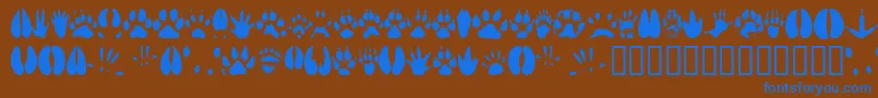 Czcionka Animt – niebieskie czcionki na brązowym tle