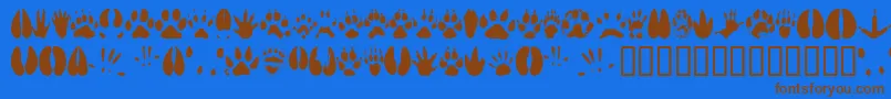 Шрифт Animt – коричневые шрифты на синем фоне