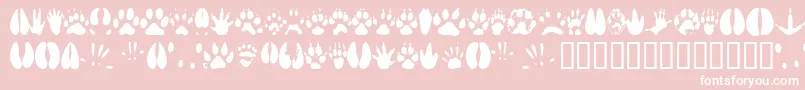 Animt-fontti – valkoiset fontit vaaleanpunaisella taustalla