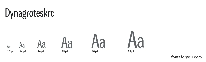 Dynagroteskrc Font Sizes