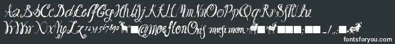 Moeflon01 Font – White Fonts on Black Background