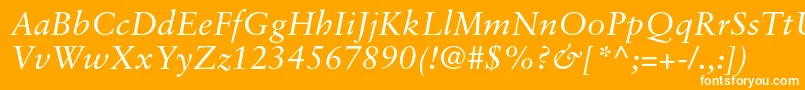 フォントSabonltstdItalic – オレンジの背景に白い文字