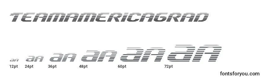 Размеры шрифта Teamamericagrad